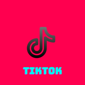 TikTok Backpack Entrepreneur